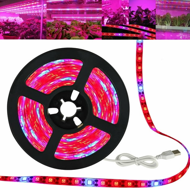 SMD 5050 LED Strip Grow Light Lamp Full Spectrum 3 Red 1 Blue Waterproof IP65 SMD 5050 LED Strip Grow Light Lamp Full Spectrum 3 Red 1 Blue Waterproof IP65